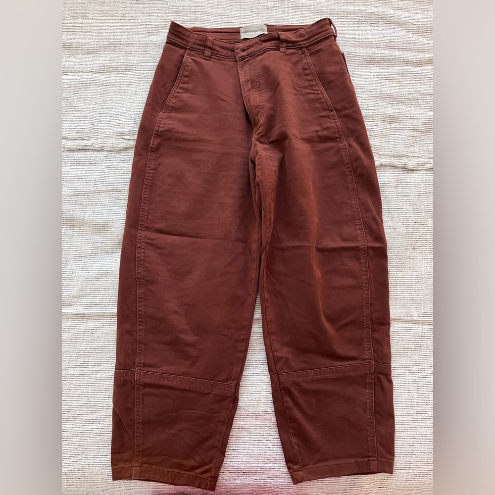 Everlane Barrel Pants (10)